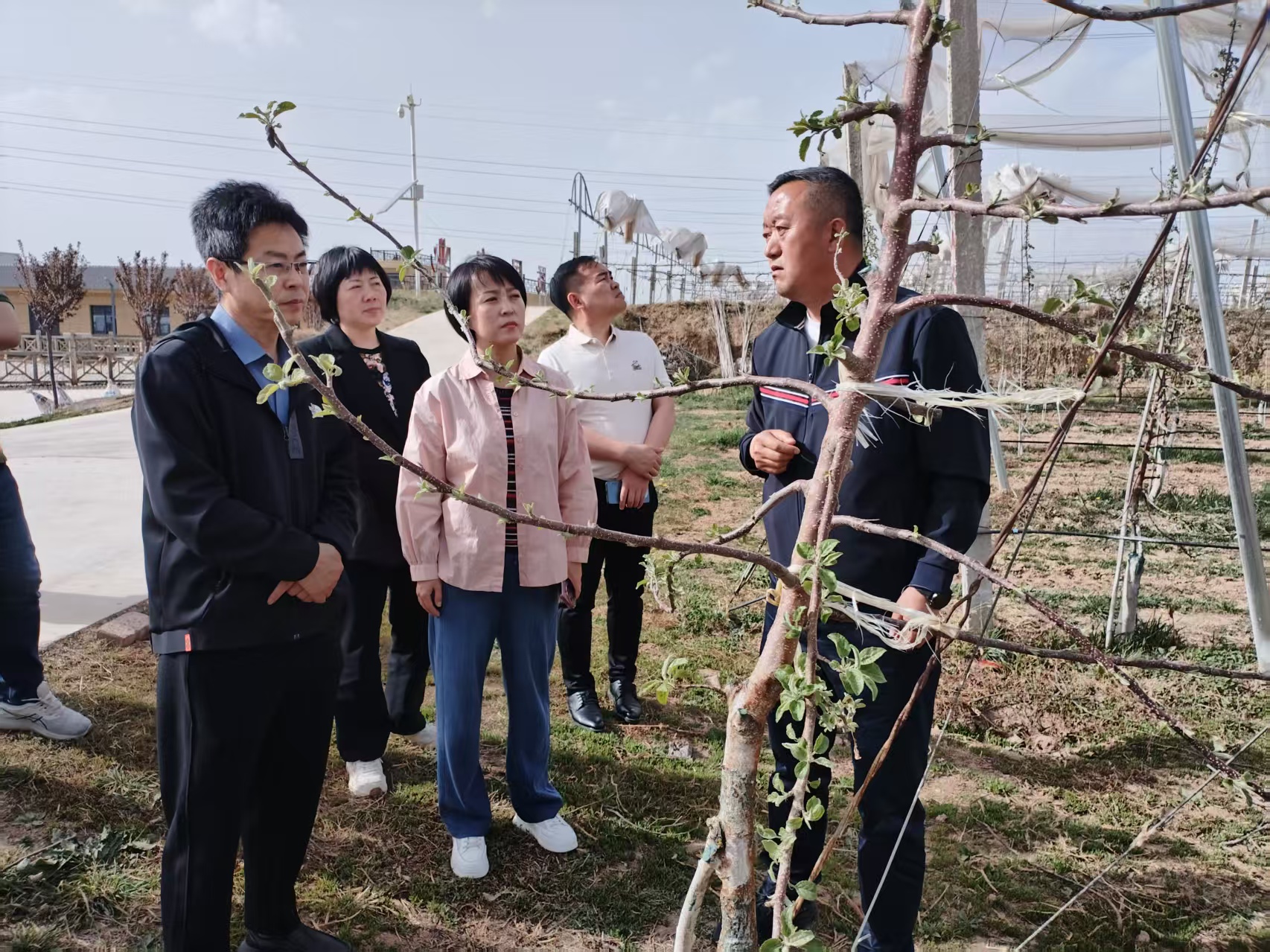 2025年4月16日銅川市供銷(xiāo)合作社王婧副主任與”鮮豐匯“、華東農(nóng)產(chǎn)品交易中